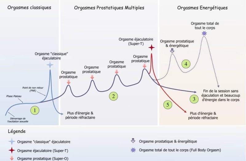 Squirt masculin et orgasme prostatique : explications et distinctions essentielles | Désirs coquins